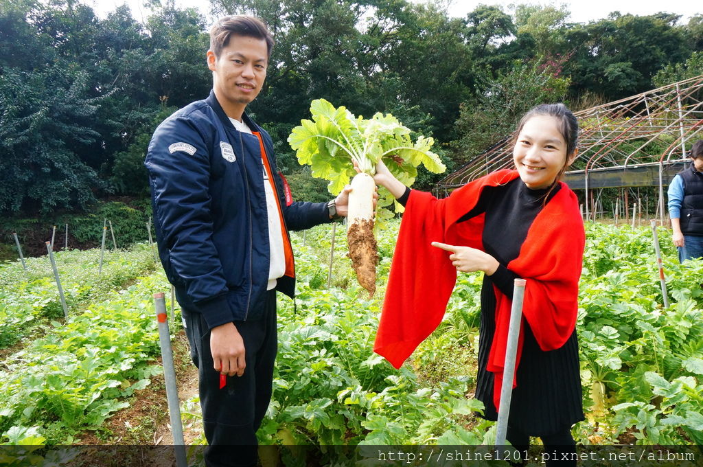 內湖親子草莓園美食推薦｜桂香草莓園&COCO32咖啡棧