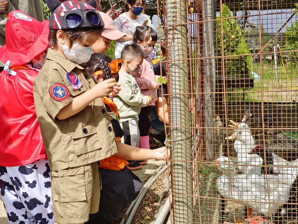 桃園農場｜愛孩子農園小農夫體驗8-2 IMG_20221029_104135