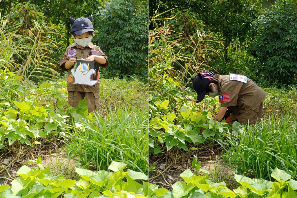 桃園農場｜愛孩子農園小農夫體驗7 IMG_20221029_104618-vert