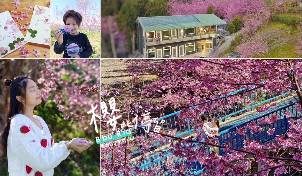 拉拉山星城民宿 拉拉山星城民宿