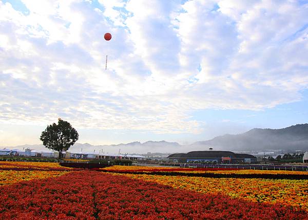 新社花海