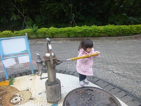 104.12.16木柵動物園 (18).jpg