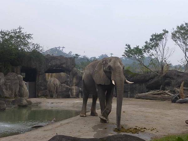 104.12.16木柵動物園 (41).jpg