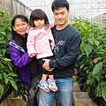 關西金勇番茄農場1051227-6.jpg