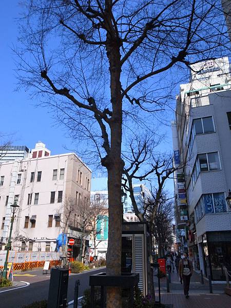 R0016569.JPG R0016569.JPG