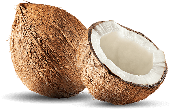 coconut.png coconut.png