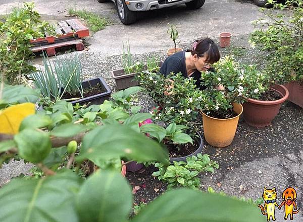 [問題] 想捐錢 但不知道要捐給誰