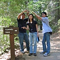 Tunnel Tree