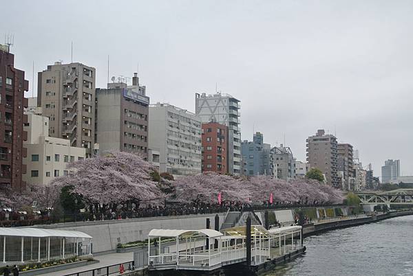 往晴空塔邁進.JPG