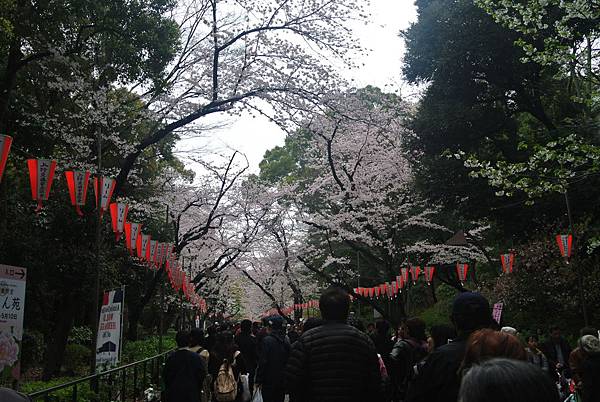 白天的上野公園.JPG