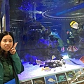 與水族箱合照.JPG