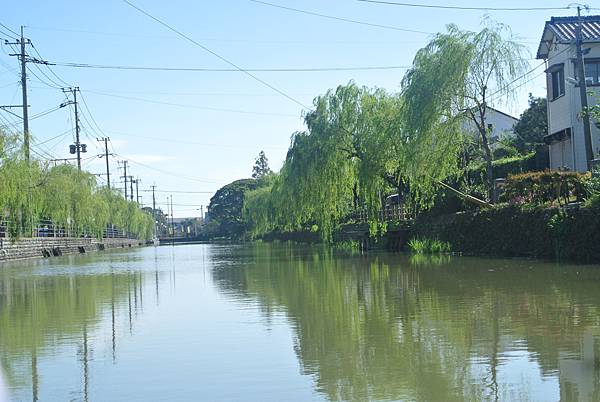 沿途風景.JPG