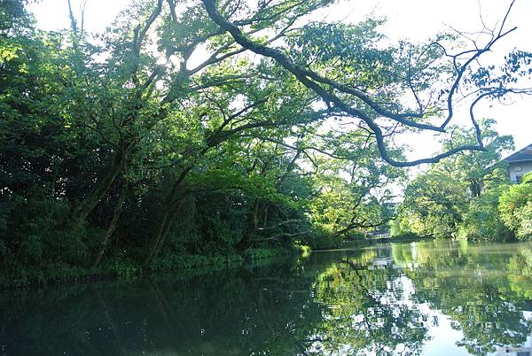 沿途綠油油的.JPG