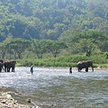大象過河.JPG