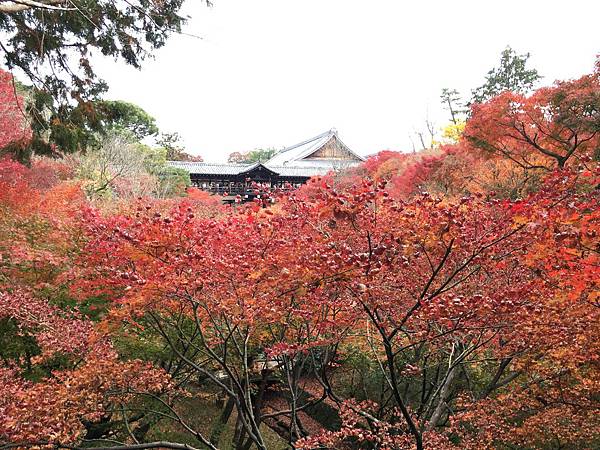 臥雲橋上.JPG