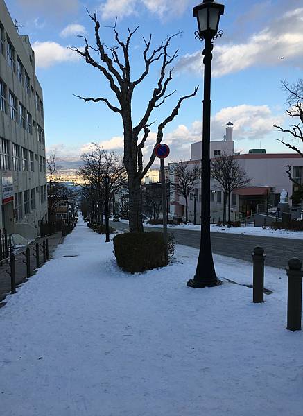 雪地.JPG