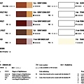 新韓專家油畫顏料 色卡4.jpg