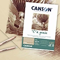 Canson Ca grain 土黃色_2.jpg