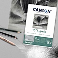 Canson Ca grain 灰色_2.jpg