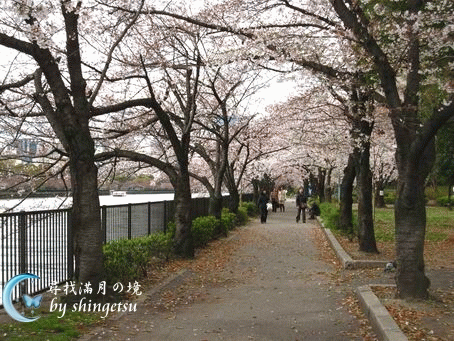 IMG_0025-毛馬櫻之宮公園散步道.gif