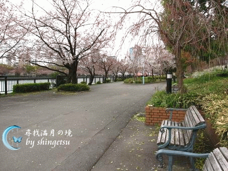 IMG_0058-櫻之宮公園散步道&休息椅.gif