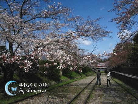 IMG_0228-蹴上鐵道.gif