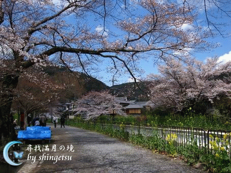 IMG_0288-山科疏水.gif