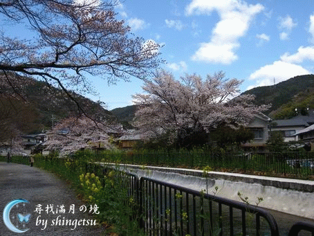 IMG_0290-山科疏水.gif