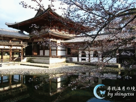 IMG_0408-平等院&櫻.gif