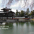 IMG_0368-平等院鳳凰堂.gif