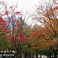 IMG_0201-雪嶽山-楓紅尾巴.gif