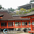 IMG_0724-巖島神社.gif