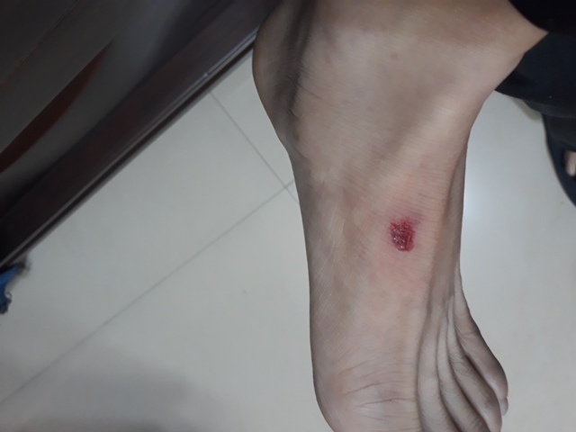 20190116_200223.jpg 20190116_200223.jpg