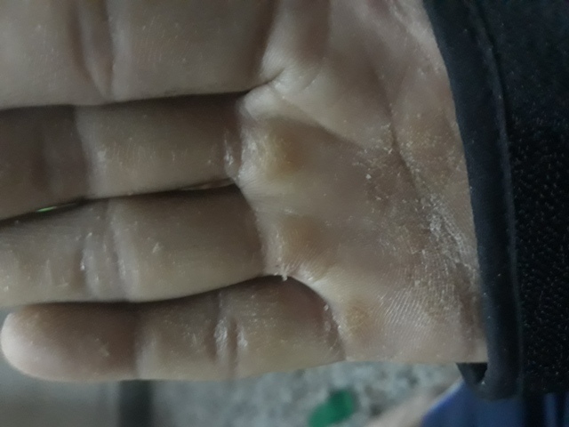 20190211_171756.jpg 20190211_171756.jpg