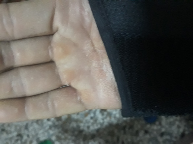 20190211_171528.jpg 20190211_171528.jpg