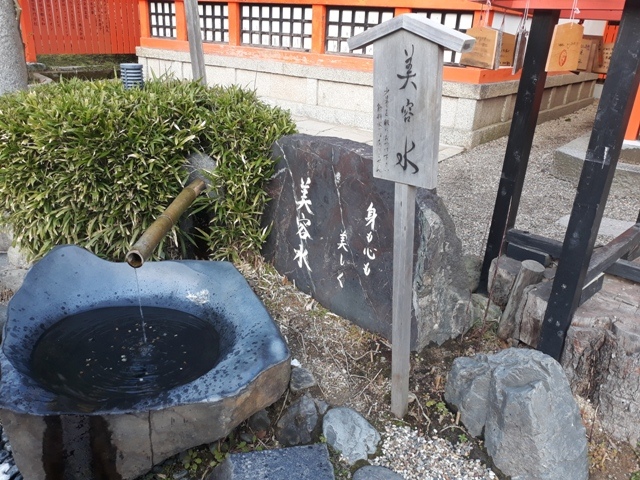 20190316_170623.jpg 20190316_170623.jpg