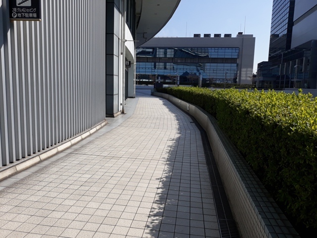 20190318_094510.jpg 20190318_094510.jpg