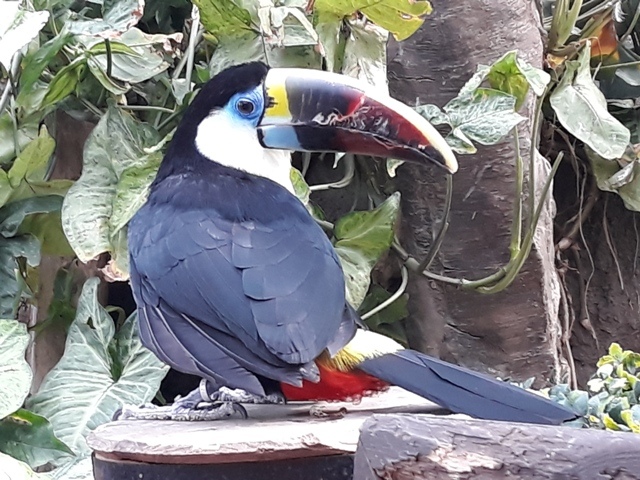 20190318_145925.jpg 20190318_145925.jpg