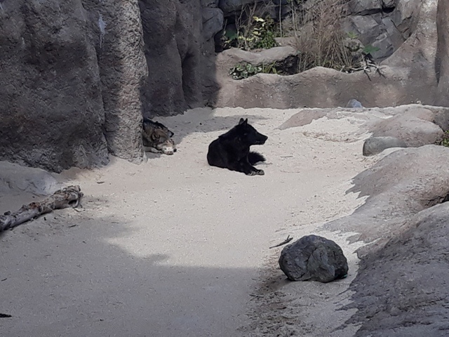 20190318_153550.jpg 20190318_153550.jpg