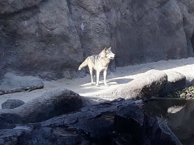 20190318_160118.jpg 20190318_160118.jpg