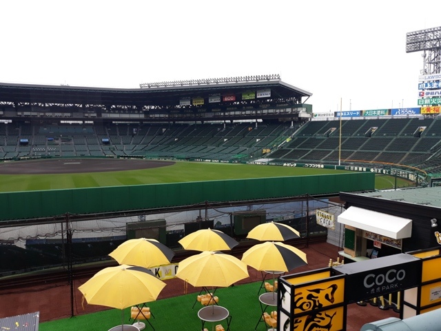 20190319_103600.jpg 20190319_103600.jpg