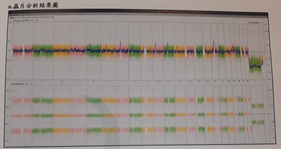 20190603_104544 - 複製.jpg