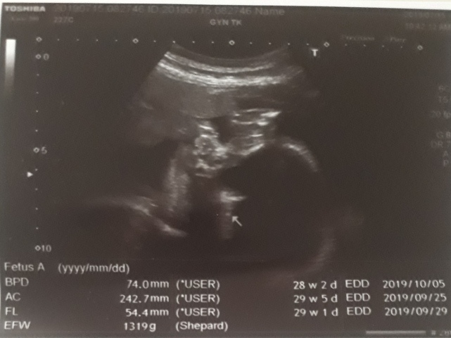 20190715_142131 - 複製.jpg