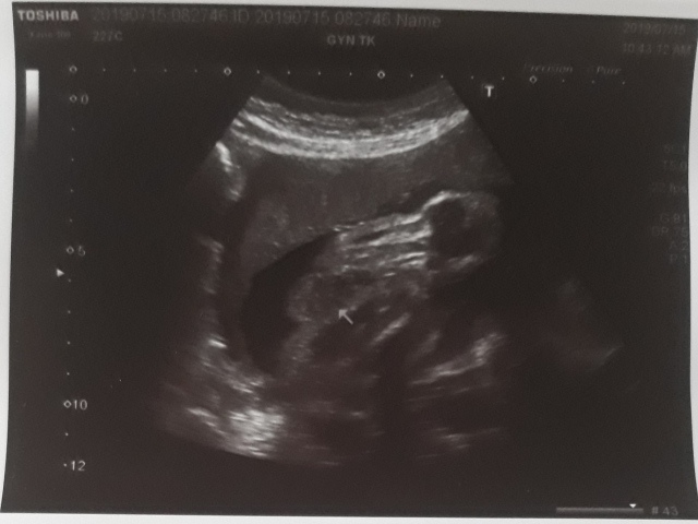 20190715_142246 - 複製.jpg