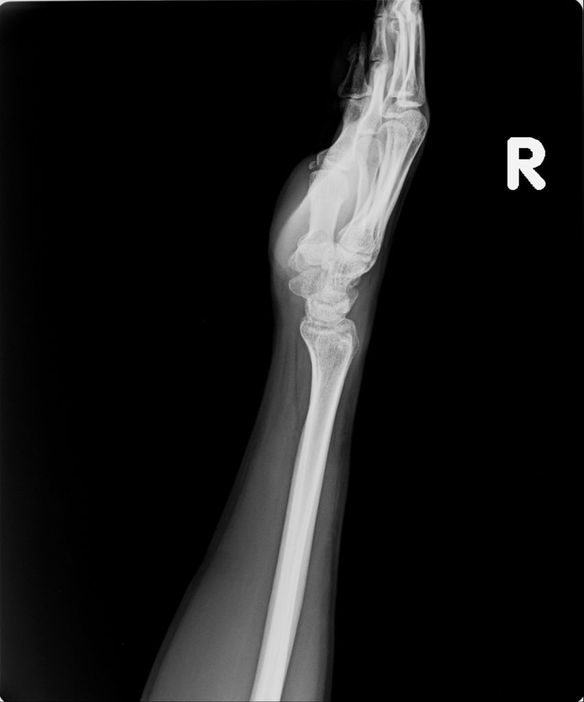 20190214_B.jpg 20190214_B.jpg