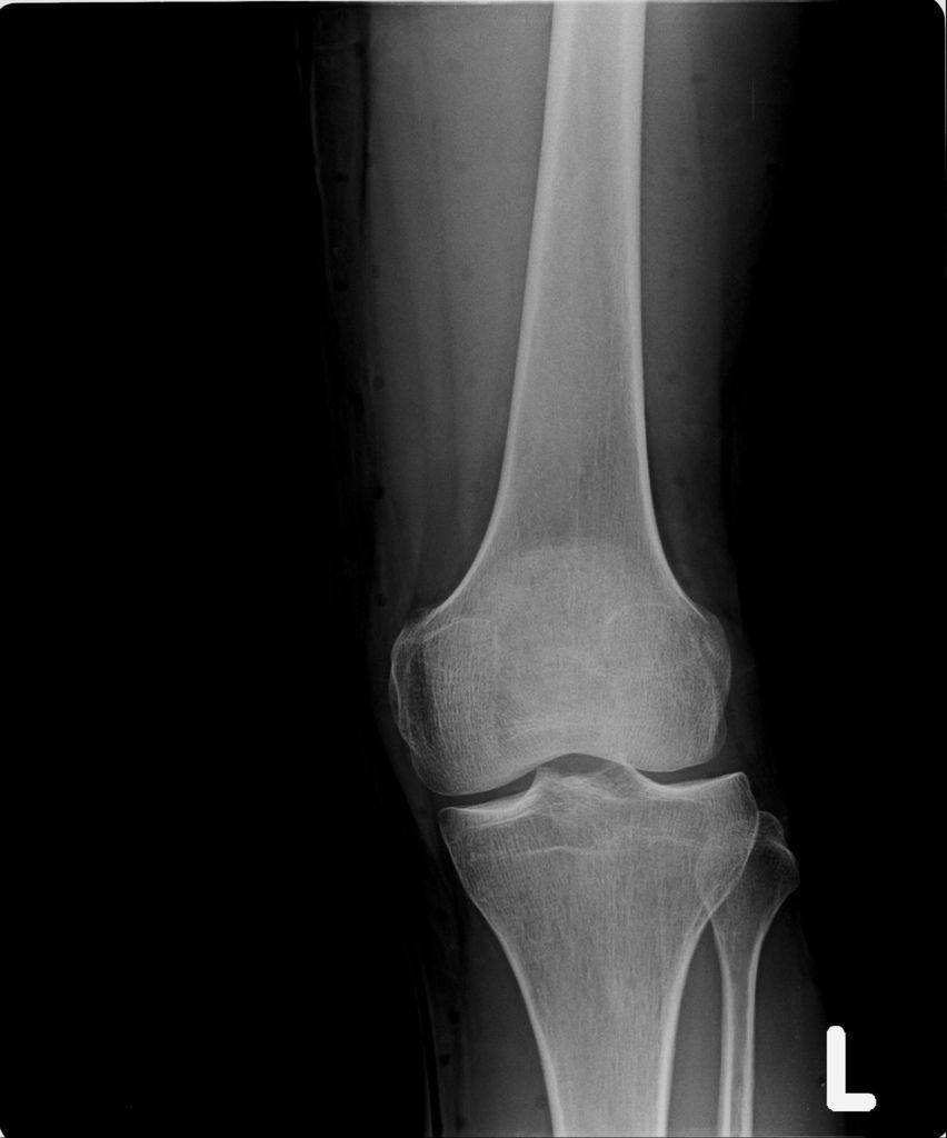 20190214_C.jpg 20190214_C.jpg