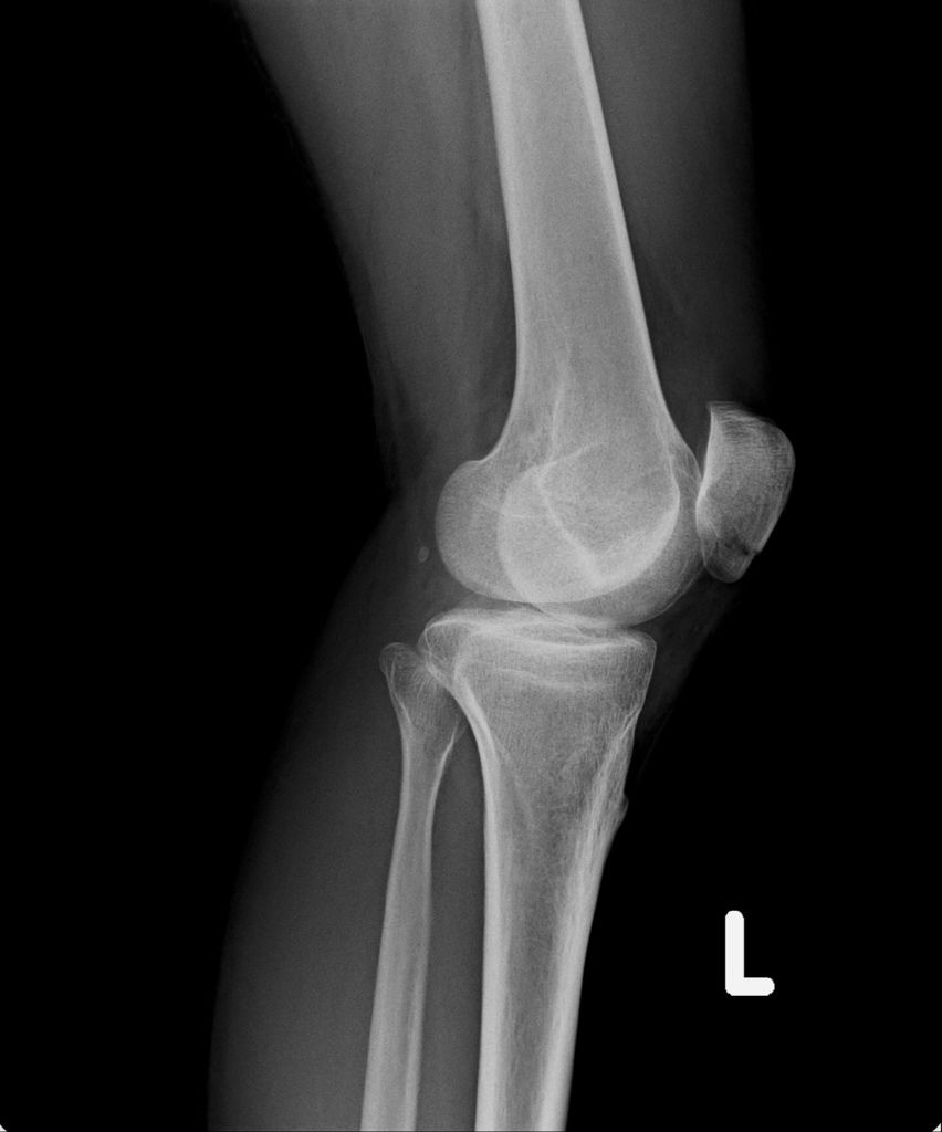 20190131_C.jpg 20190131_C.jpg