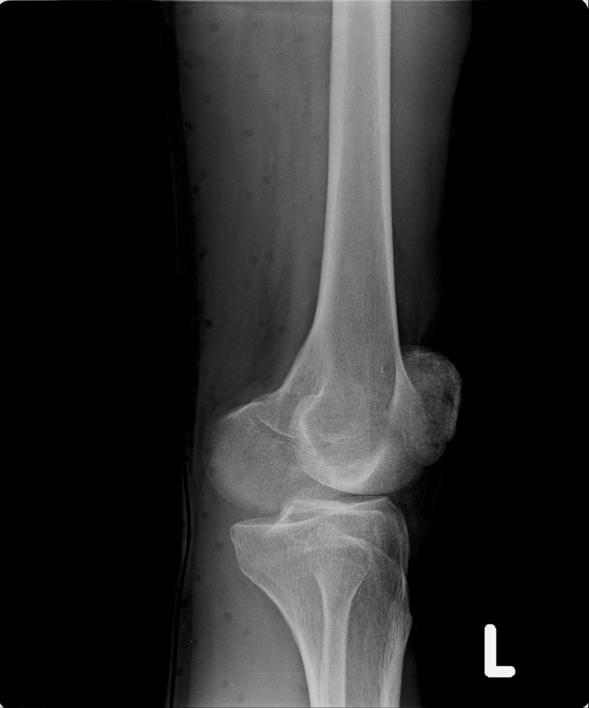 20190214_D.jpg 20190214_D.jpg