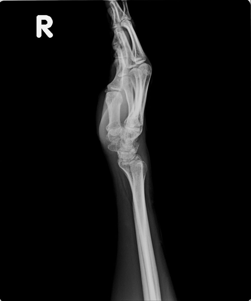 20190328_B.jpg 20190328_B.jpg