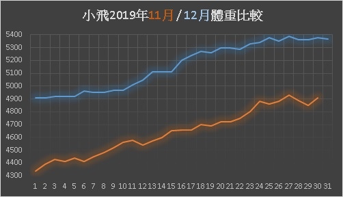 20191231_11月12月體重變化.jpg